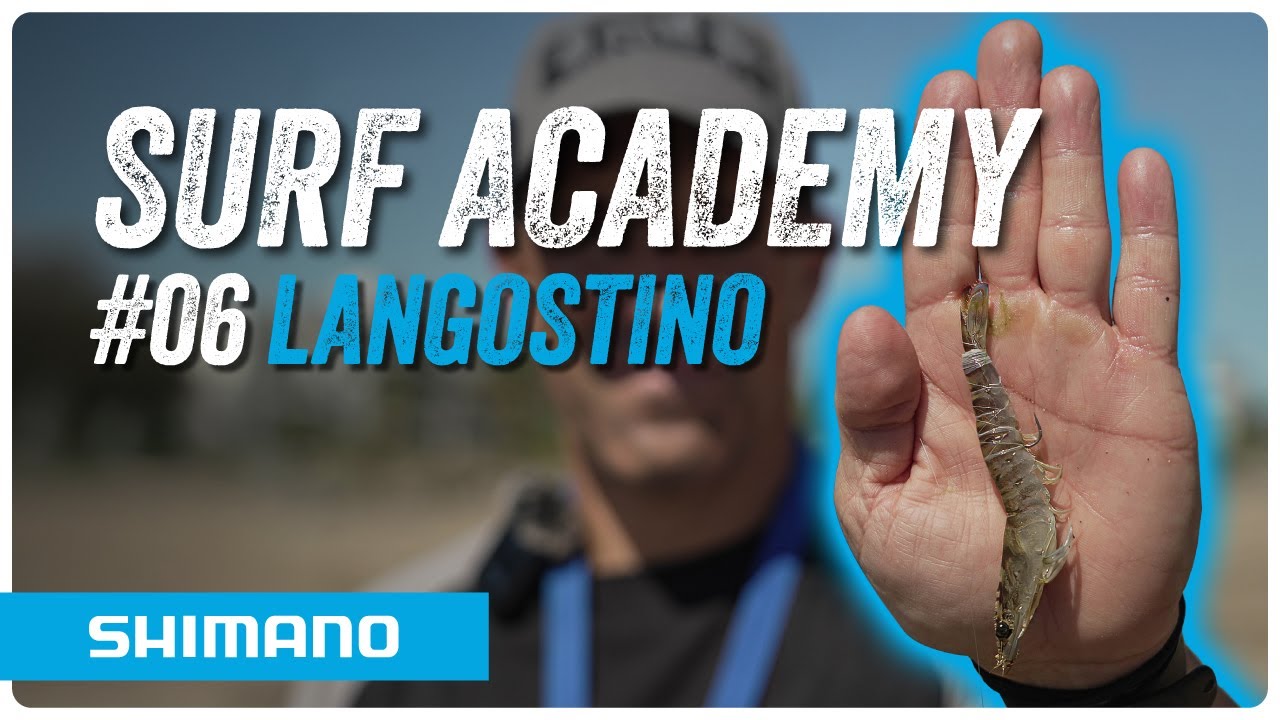 🎣 SHIMANO SURFCASTING ACADEMY 🌊 CÓMO CONSERVAR Y PRESENTAR LANGOSTINO #06