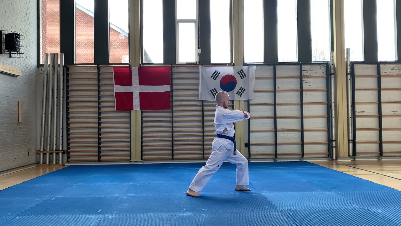 Nick Dahl Jacobsen &ndash; Denmark &ndash; Rec.Over 17 - Male (Color Belt: 6th - 3rd Kup) &ndash; Oh Jang &ndash; Final 2.