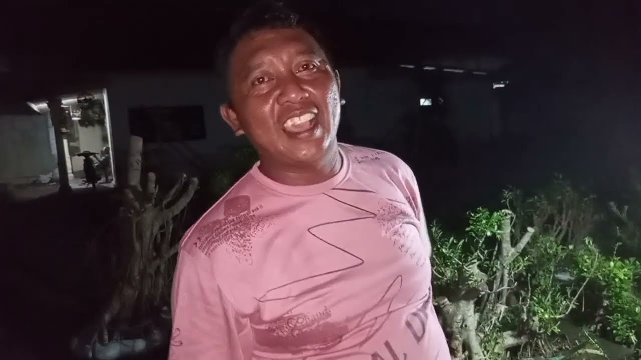 Review malam harga cuci gudang ADM+6287865533169#pecintabonsai 