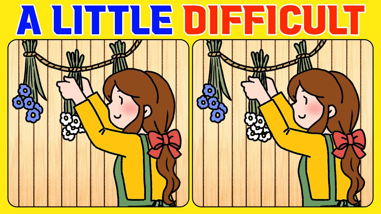🧠🧩Spot the Difference : Brain Teasers 《A Little Difficult》