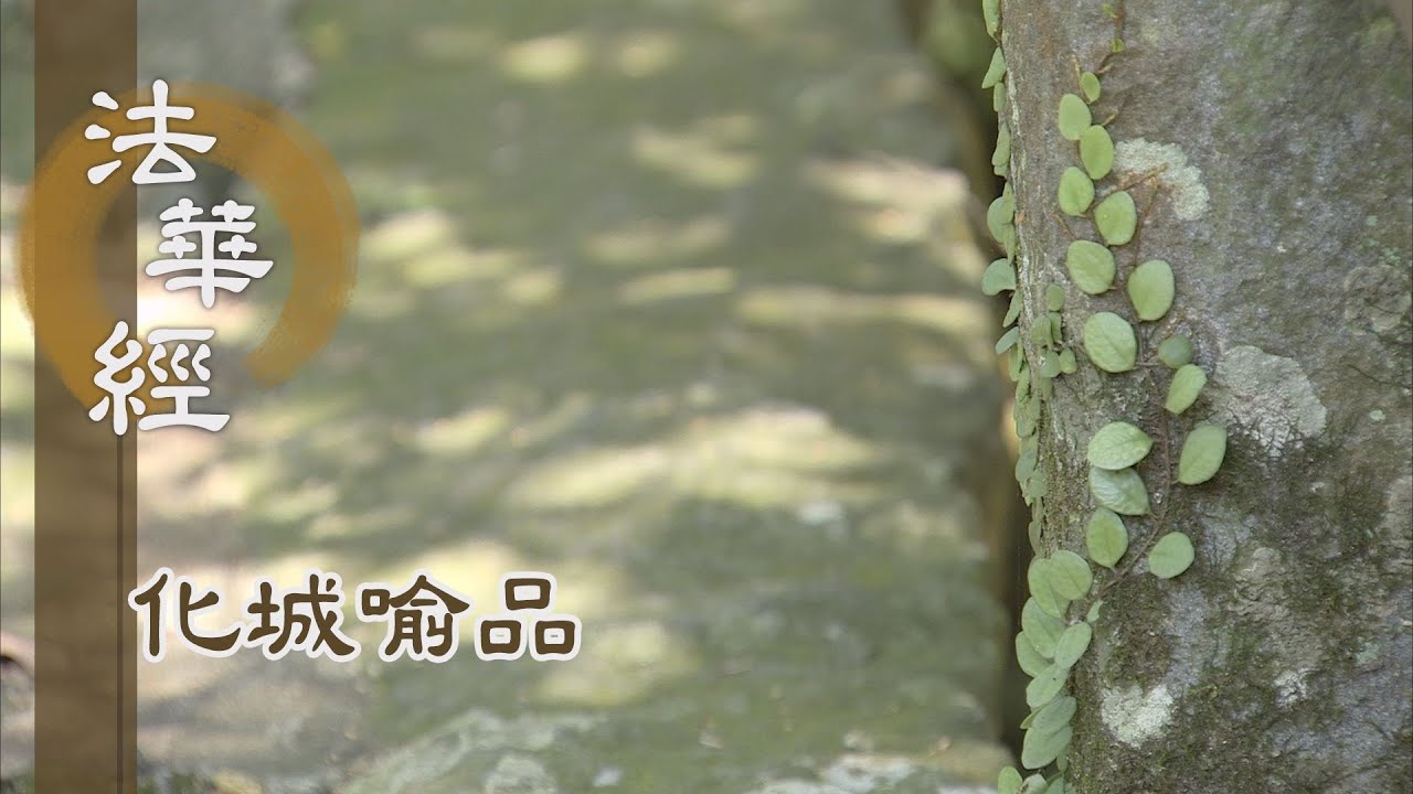 【靜思妙蓮華】法華經化城喻品 - 樂著欲愛 險難惡道 - 20220121 第1073集