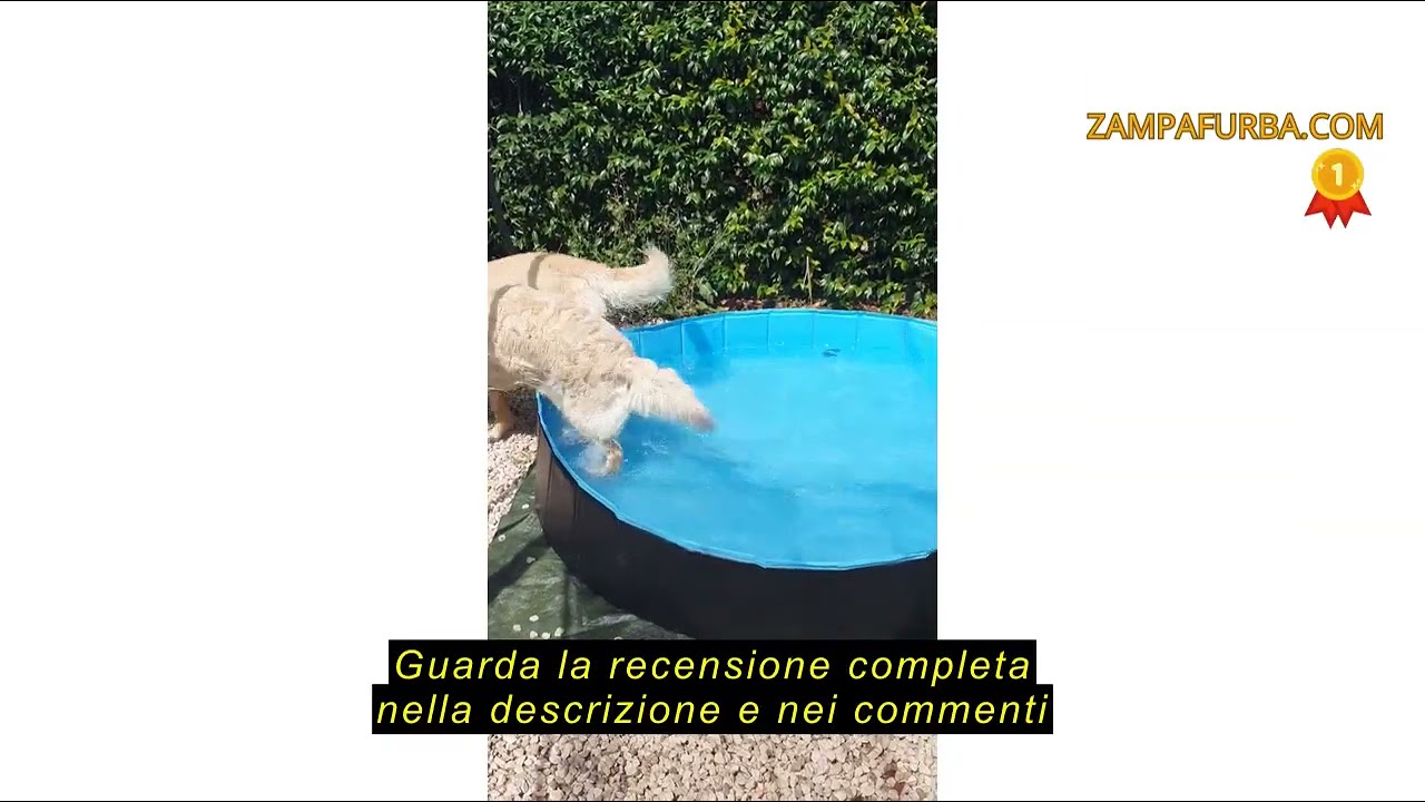 Recensione del Yaheetech Piscina per Cani Gatti Pieghevole, Vasca da Bagno in PVC, Piscinetta per An