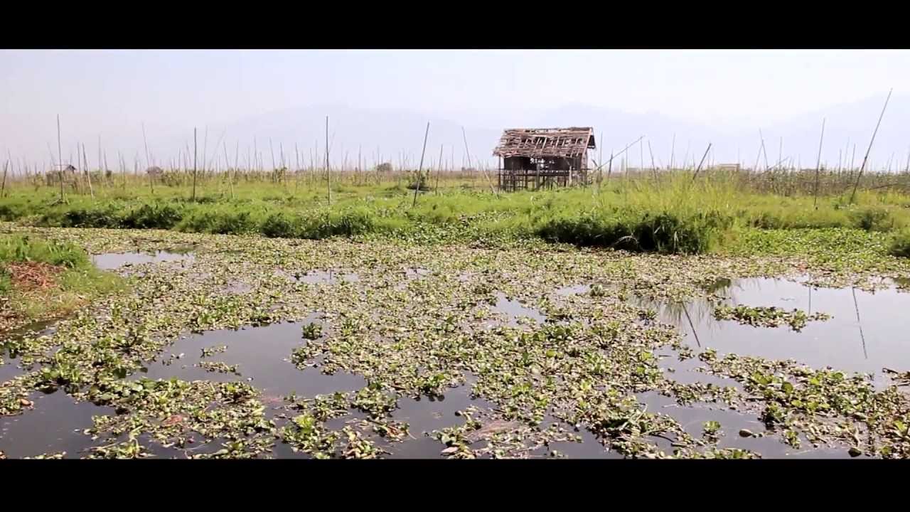 Round The World Music Video | Myanmar/Burma Vietnam Tokyo San Diego