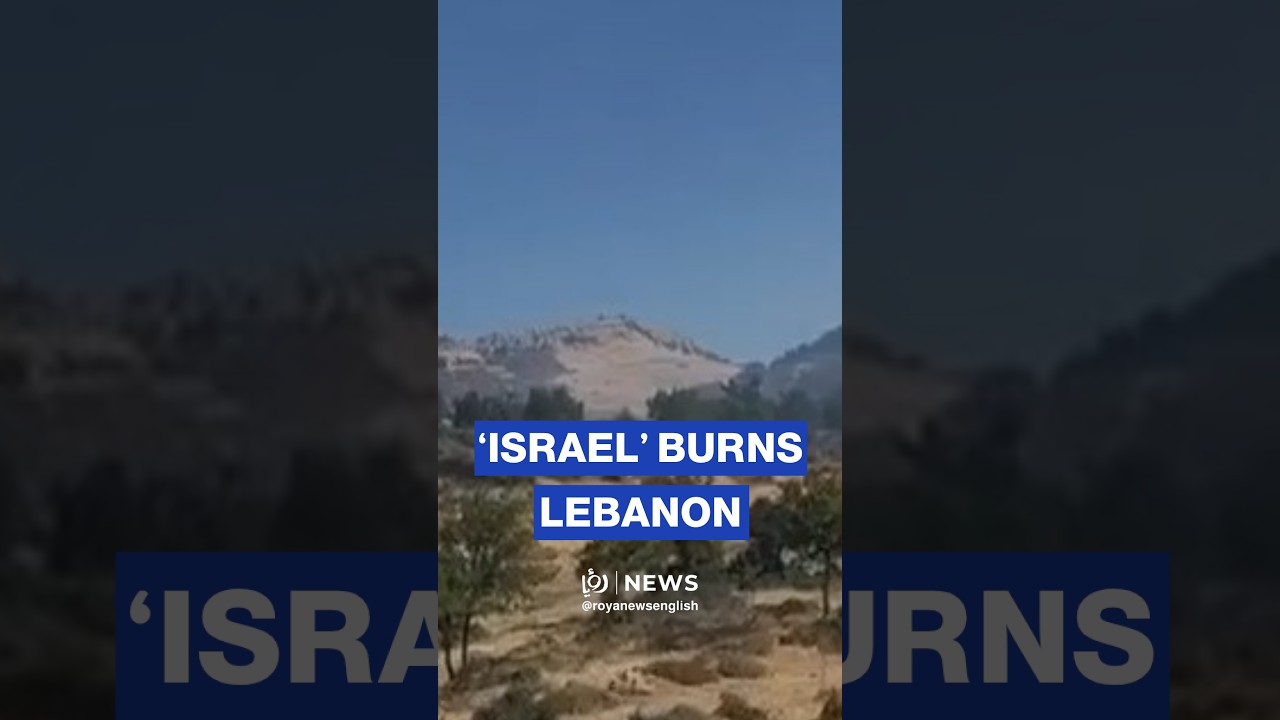 Hezbollah condemns 'Israeli' burning of South Lebanon forests