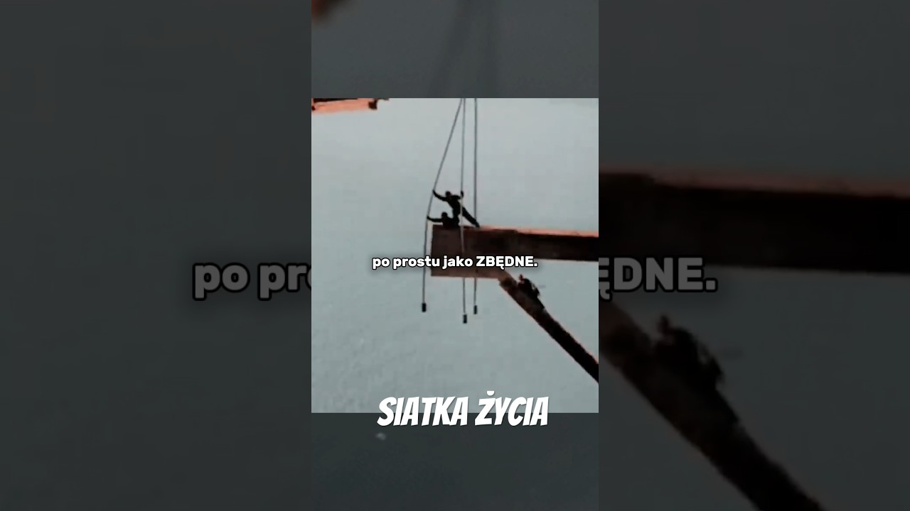 Siatka, kt&oacute;ra uratowała wiele żyć