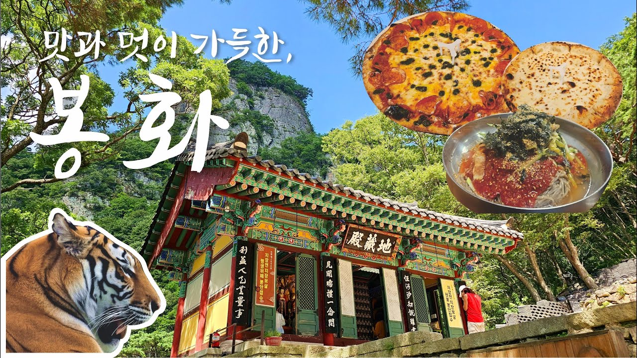 [경북 봉화 여행 Best 7] 청량사·분천 산타마을·백두대간 수목원·맛집 코스 총정리!