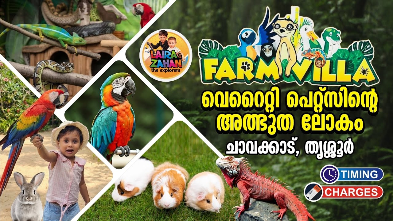 Farm Villa Chavakkad, Rate, Time I Pets Park Thrissur I Exotic Birds Park, Animal Interaction Park