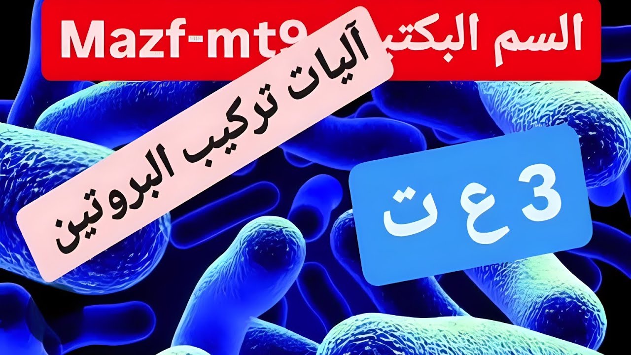 تأثير سم Mazf-mt9 على تركيب البروتين عند البكتيريا💯 وحدة آليات تركيب البروتين💯السنة الثالثة ثانوي