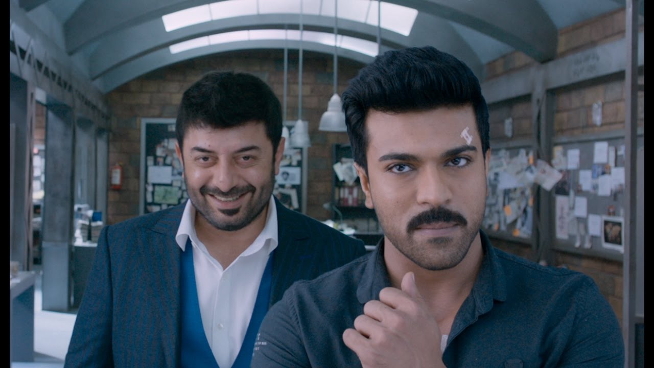 Dhruva Official Theatrical Trailer HD | Ram Charan | Rakul Preet | Dhruva Trailer | Movie Pazes