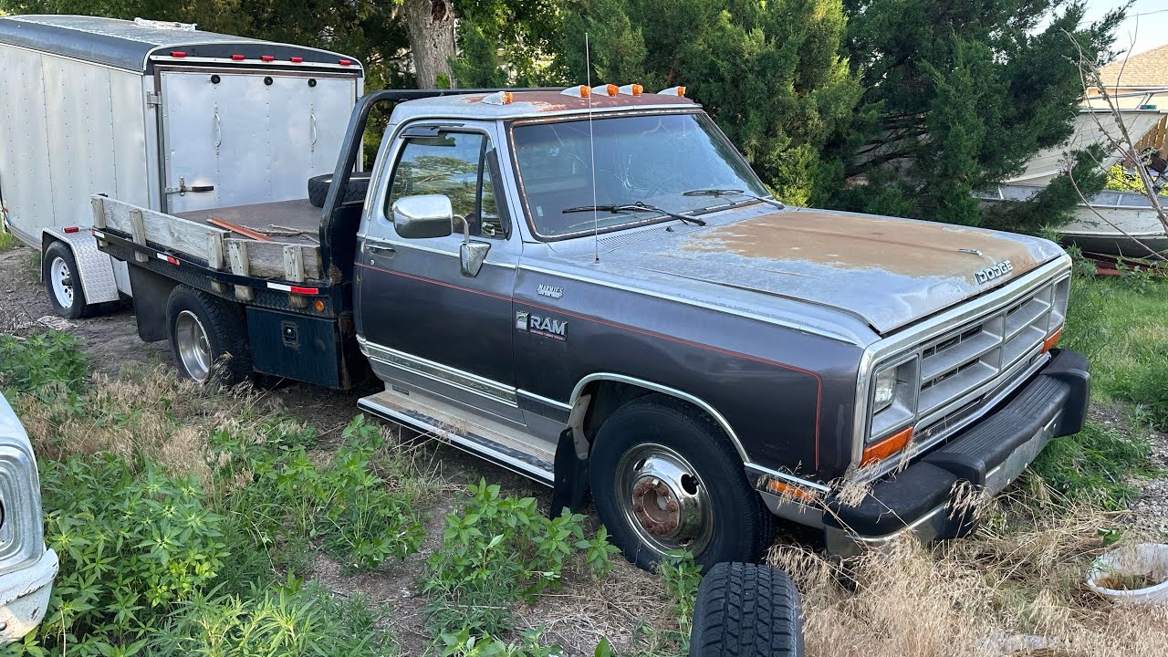 Abandoned 1st Gen Dodge D350 Cummins! Will it run and Drive Home?