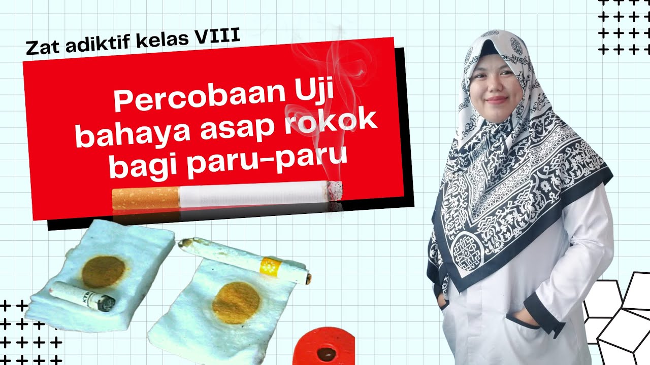 PERCOBAAN IPA SEDERHANA SMP  -  UJI BAHAYA ASAP ROKOK BAGI PARU-PARU