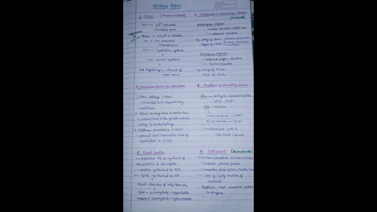 BIOLOGY BYTES IMP FOR