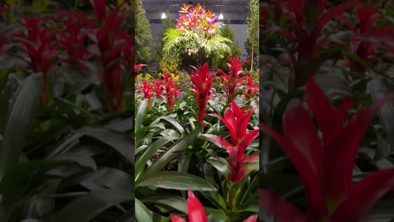 The Philadelphia Flower Show is back at the Pennsylvania Convention Center 💐✨