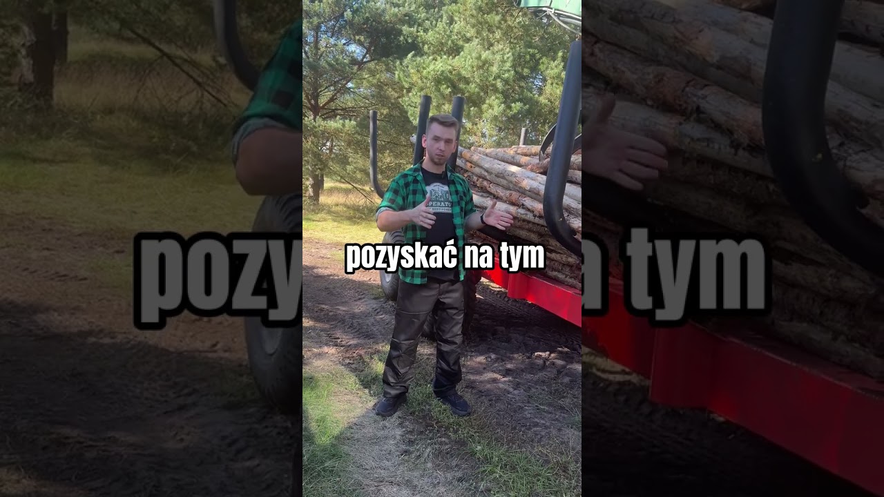 🌲 Na czym polega moja praca?