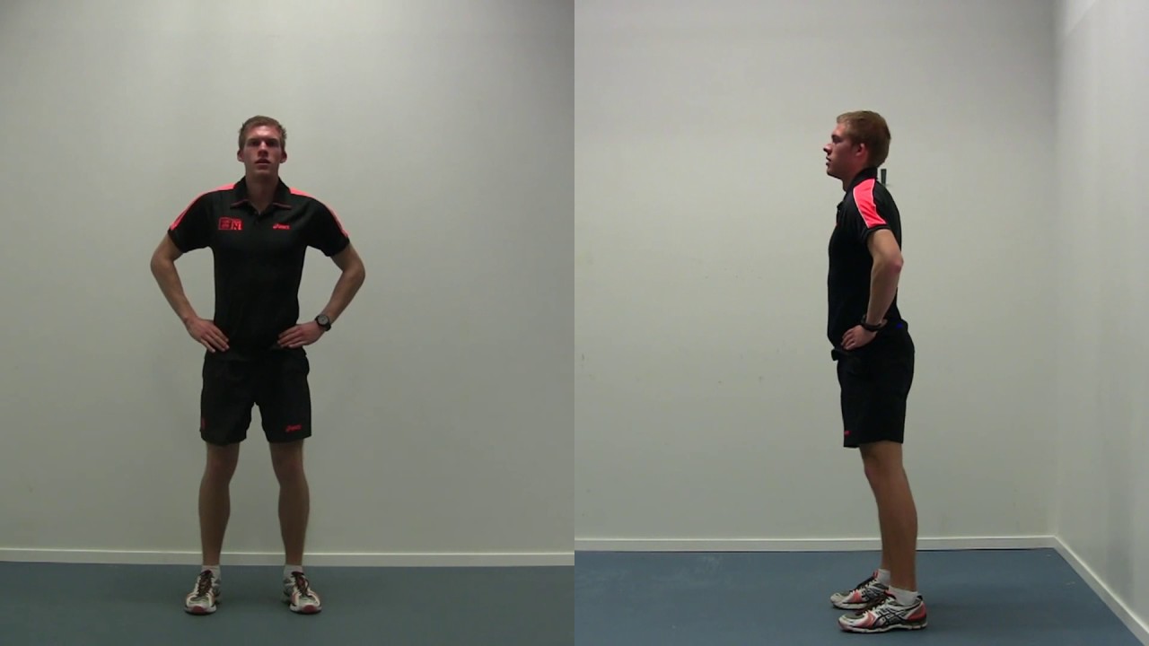 Squat jump, countermovement jump and countermovement jump with armswing