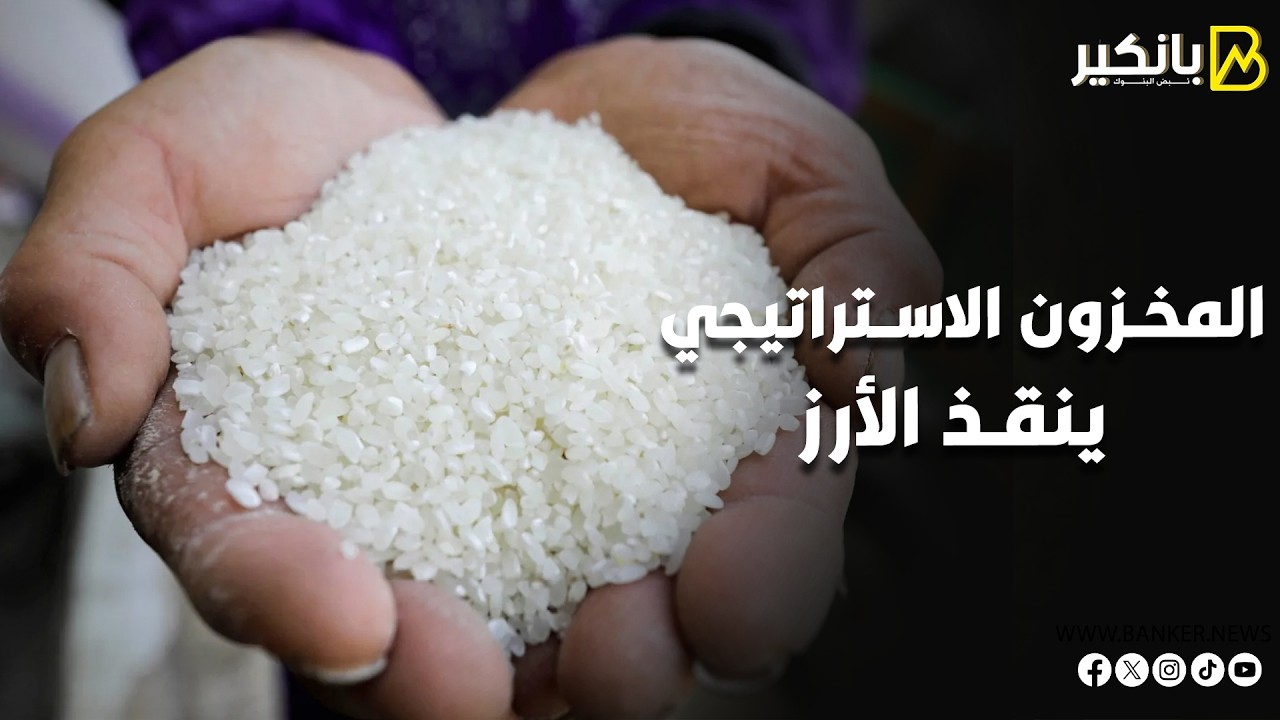 في قلب الأزمة.. كيف يحمي 
