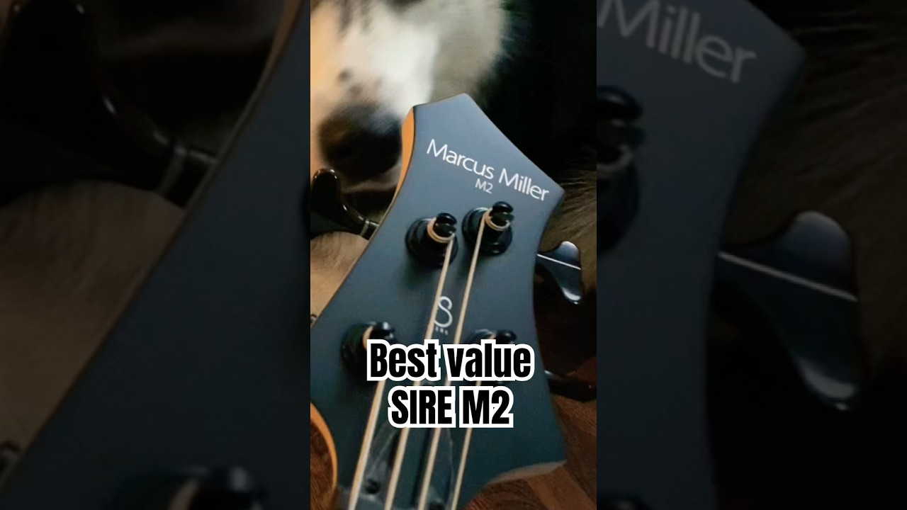 best value SIRE M2