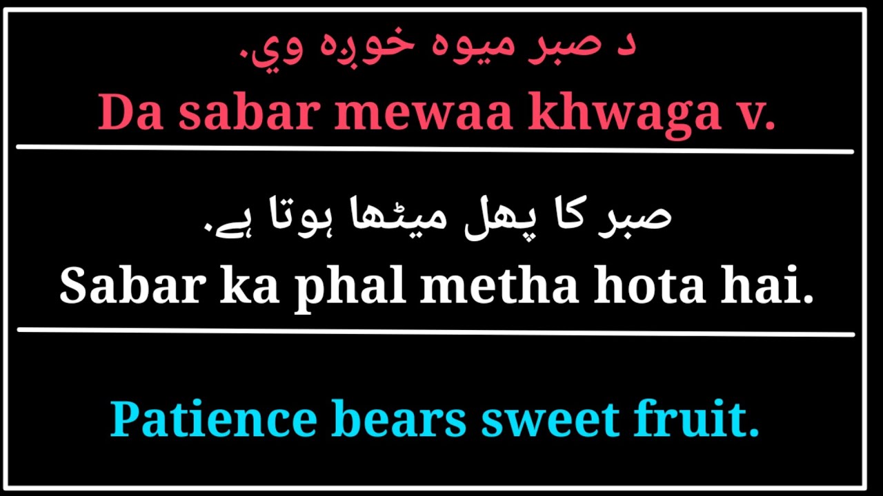 Pashto Proverbs with Urdu & English Meanings | Universal Wisdom in 3 Languages