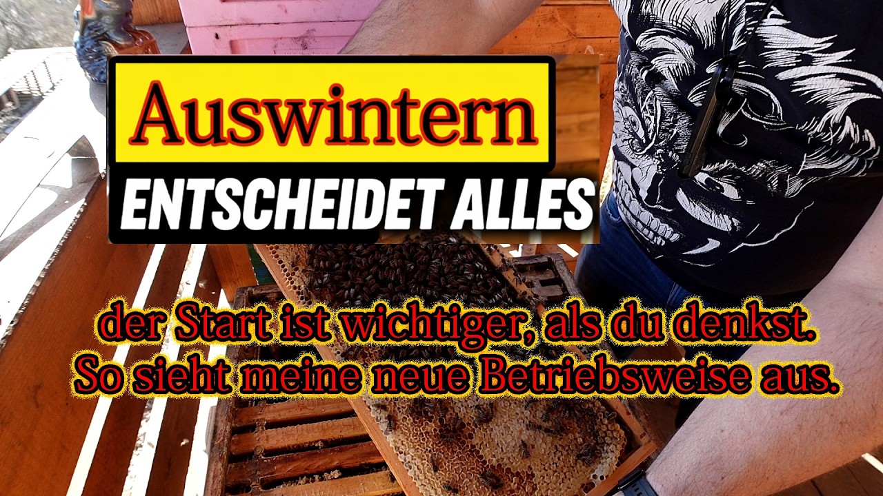 Auswintern &ndash; der Start ist wichtiger, als du denkst. So sieht meine neue Betriebsweise aus