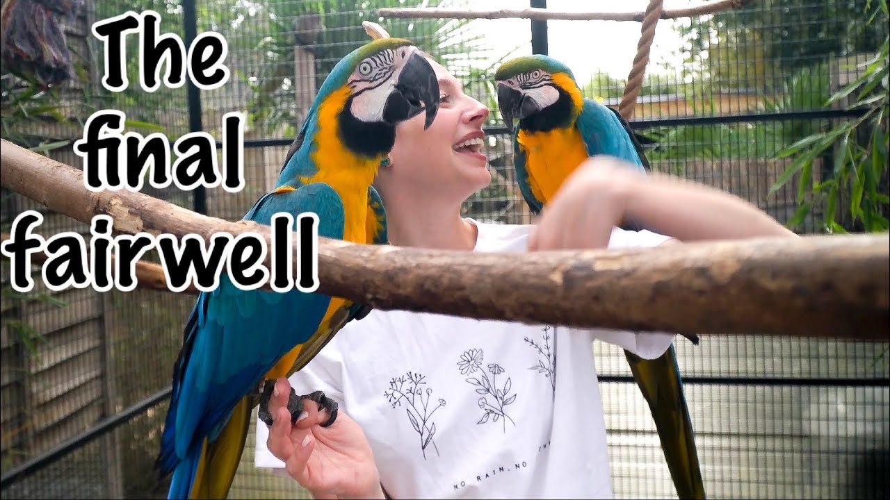 Visiting Mikey and Mia after 2 months!!! Their New Life At @wildzoologicalpark 