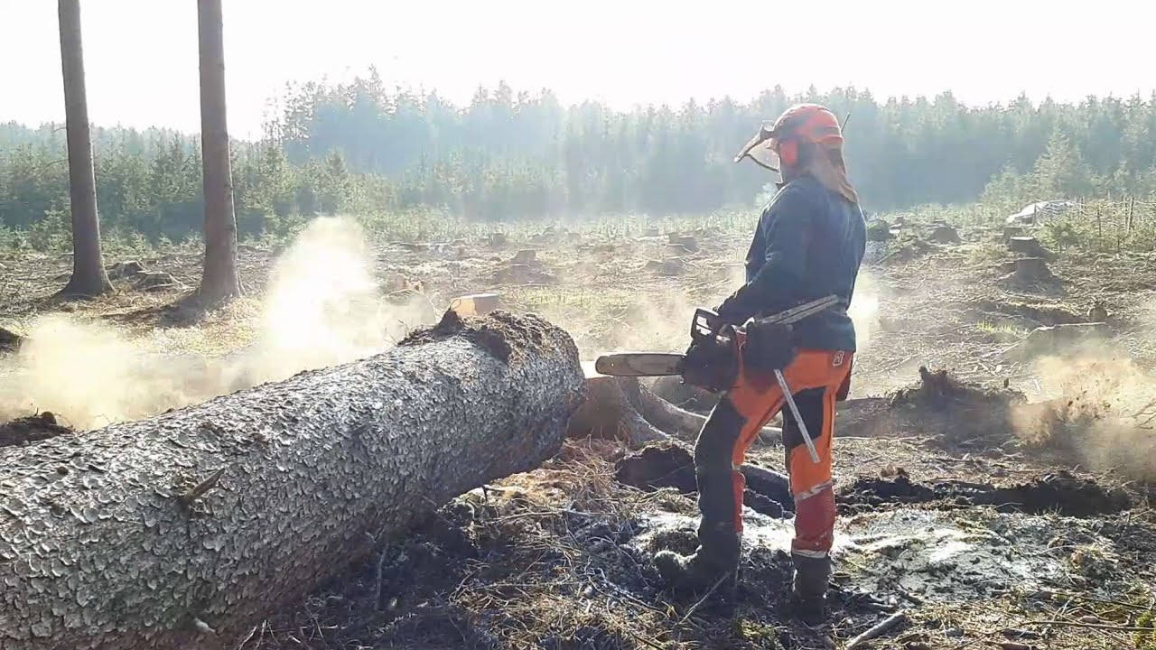 ONLY ONE , ME AND HUSQVARNA 560 XP