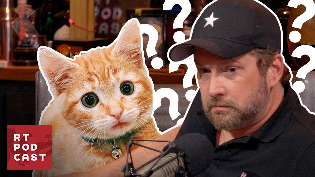 How do you teach a Cat to Jump? - #542 | RT Podcast