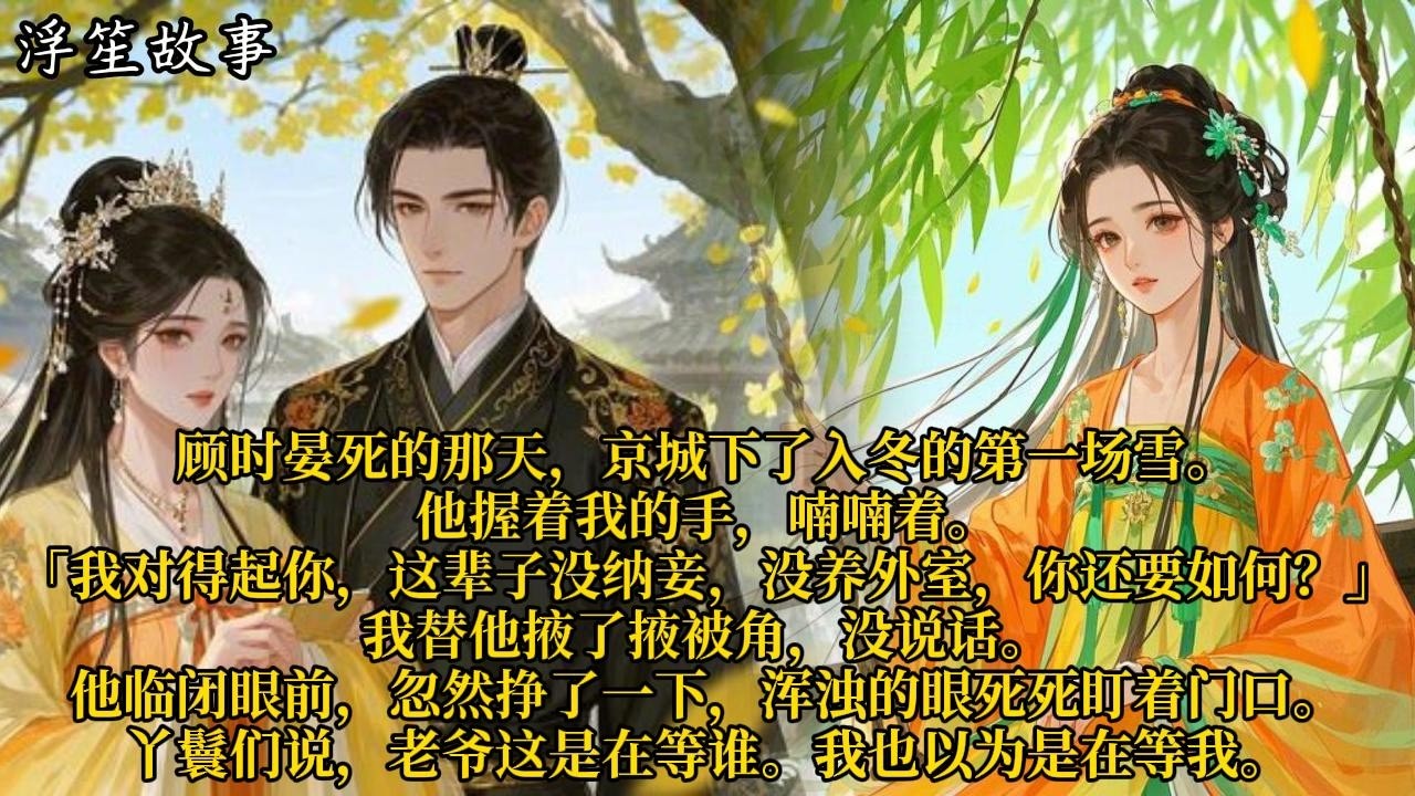 顾时晏死的那天，京城下了入冬的第一场雪。他握着我的手，喃喃着。「我对得起你，这辈子没纳妾，没养外室，你还要如何？」#重生 #大女主 #复仇 #宫廷 #夺权 #古风 #小说