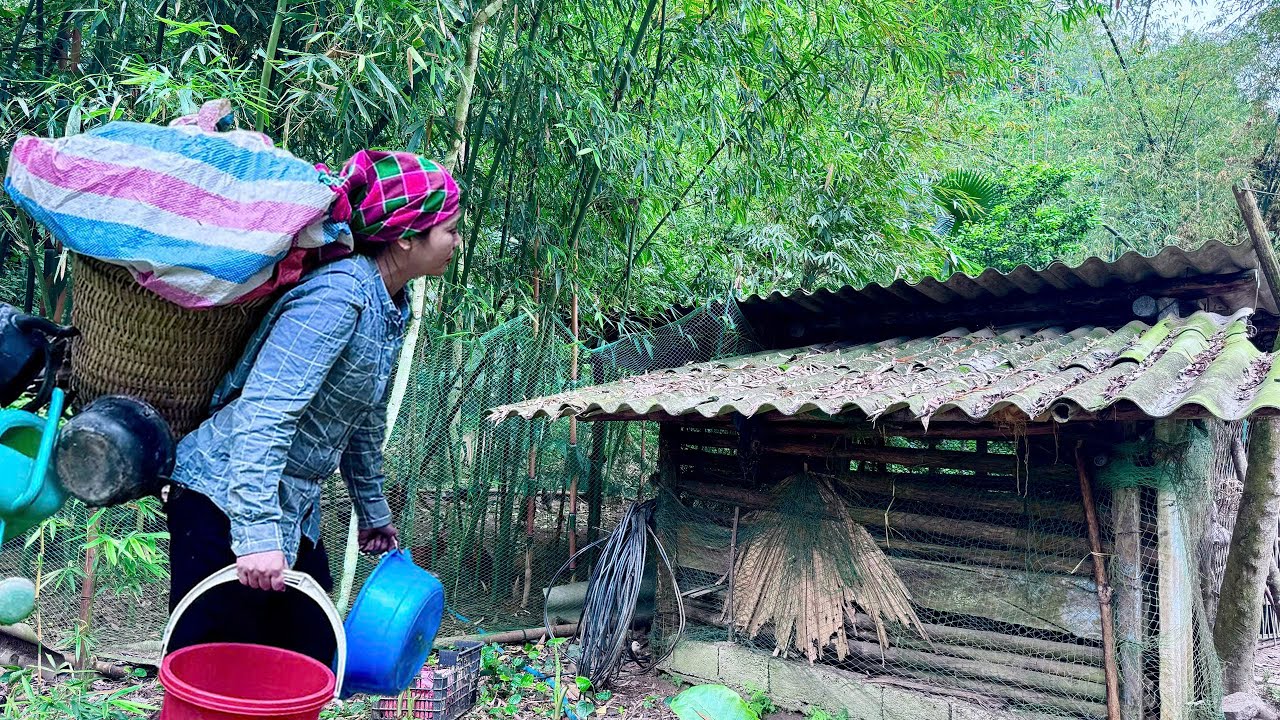Full Video: Girl revives abandoned house by stream in deep forest