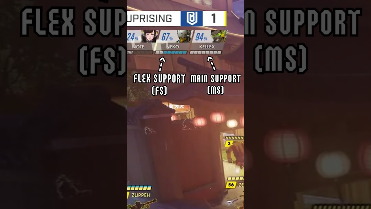 The Story Behind Flex & Main Support