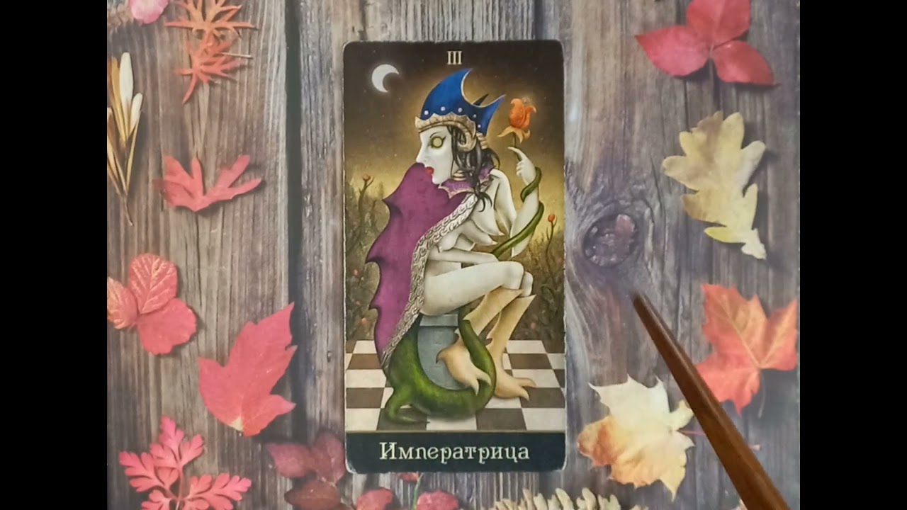 Для начинающих. Видеоурок по колоде 