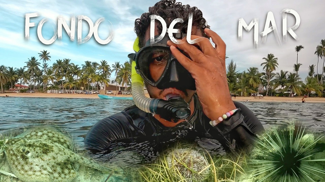 Como Es EL FONDO Del MAR En PLAYA Las Ballenas En Las Terrenas R.D.