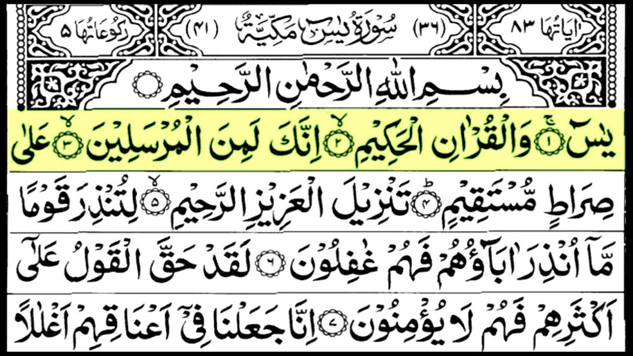 Surah Yasin ( Yaseen ) Healing & Peaceful ( سورہ یٰس )  | Surah Yaseen Beautiful Recitation | 