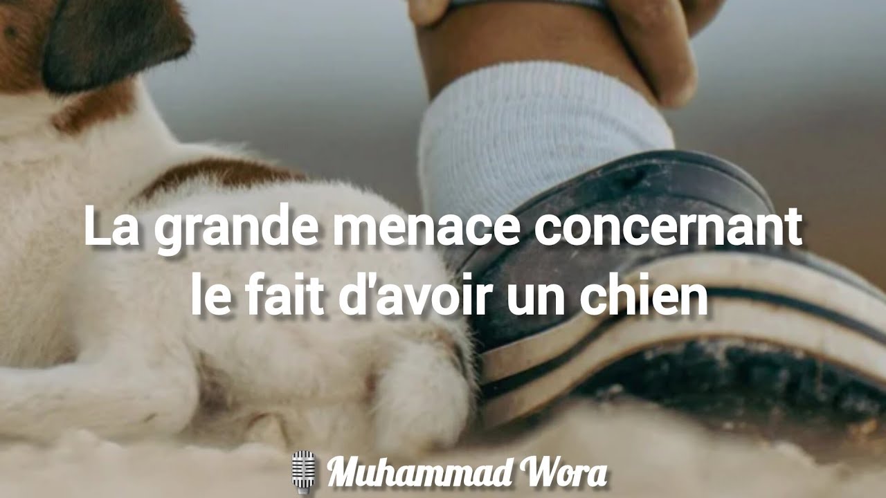 La grande menace concernant le fait d'avoir un chien - Muhammad Wora