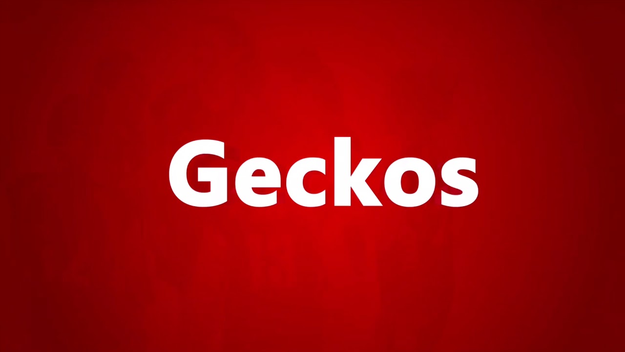 Go Geckos