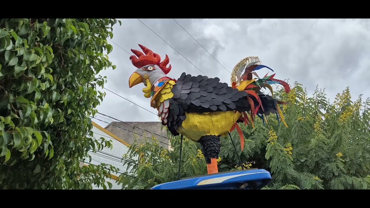 O galo do Carnaval de São José do Egito PE em 07-02-26 