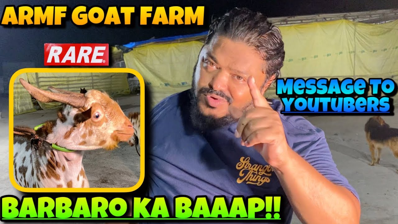 BARBARO ka BAAP!! | Top to EXTREME Barbara Collection of ARMF Goat Farm|