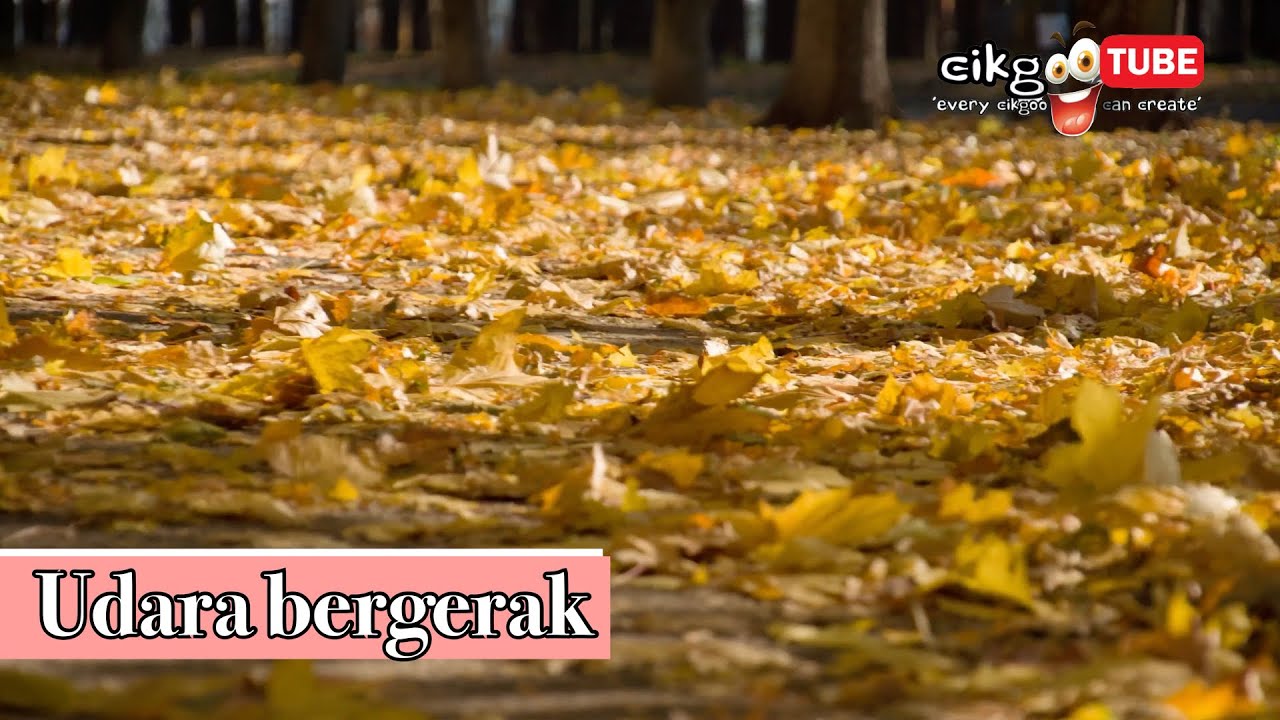 Sains Tahun 2: Udara Bergerak