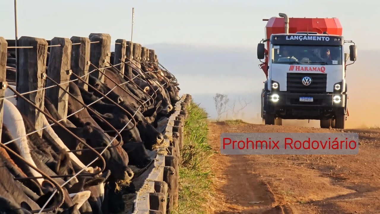 Vagão misturador vertical Prohmix no caminhão, HaramaQ Prohmix Rodoviário 27.0