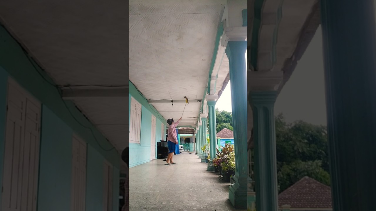 EDISI BERSIH2 SETIAP LIBUR JUALAN