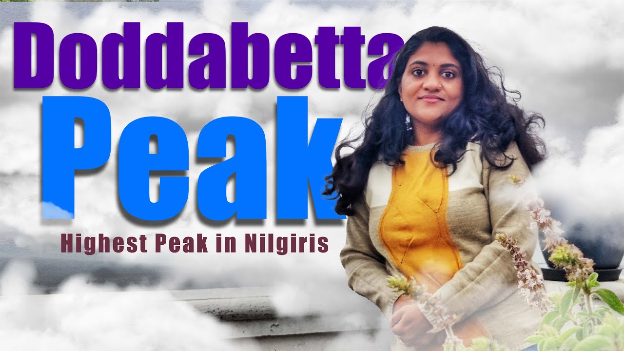 Doddabetta Peak - Ooty | Highest peak in Nilgiris | Must Visit Places in Ooty