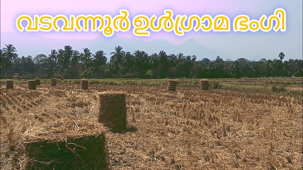 വടവന്നൂർ ഉൾപ്രദേശങ്ങളിലെ കാഴ്ചകൾ | BEAUTY OF VADANNUR | TRAVEL VLOG | #vlog #viralvideo