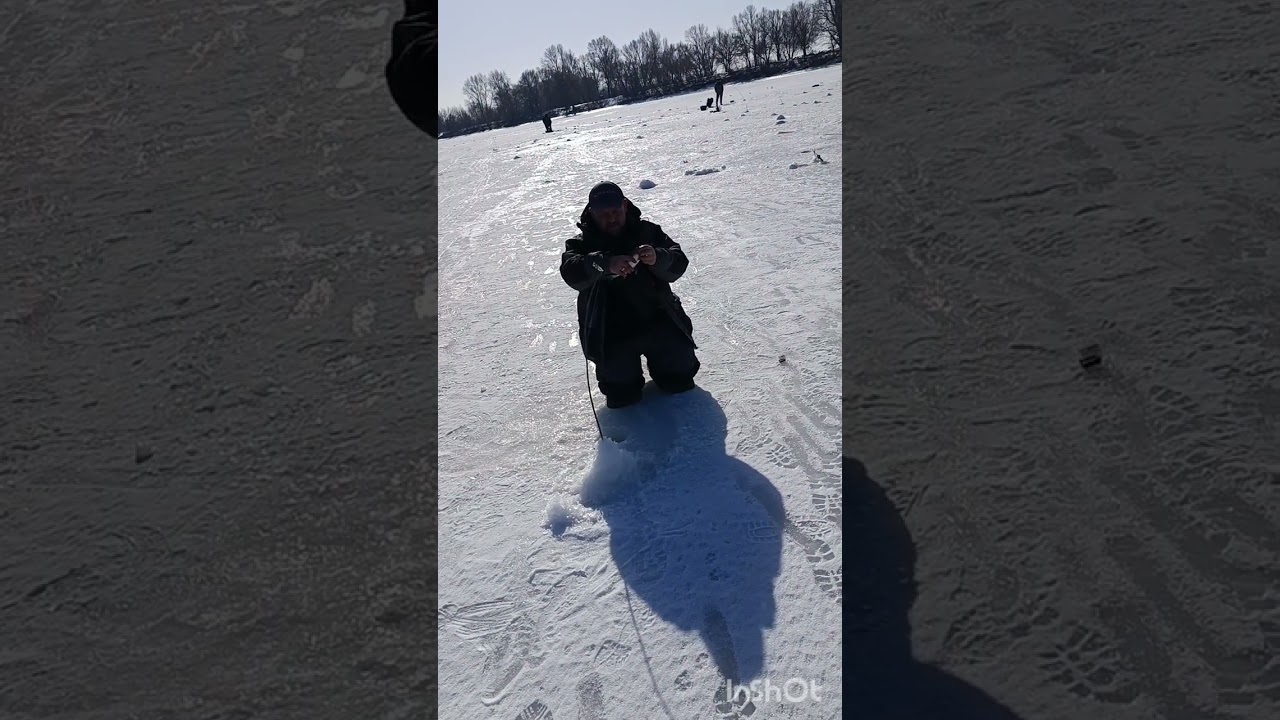 Перший день весни. Риболовля на Десні@ОлександрПошукайло #риболовля #fishing #плотва#Десна