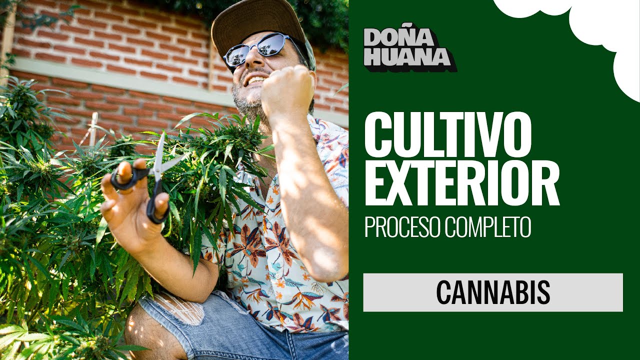 PROCESO DE CULTIVO EXTERIOR COMPLETO - F&Aacute;CIL Y PR&Aacute;CTICO - PASO A PASO