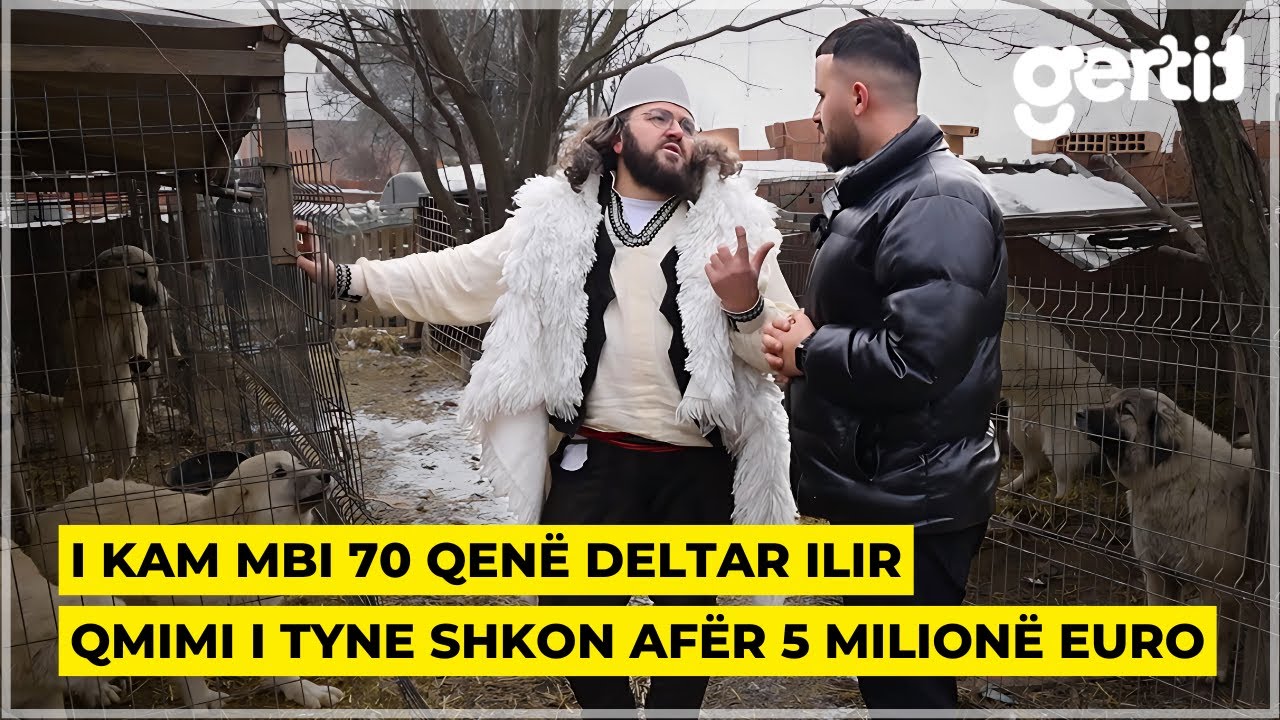 I kam mbi 70 qenë Deltar Ilir - Prezenton edhe racën e përzieme mes Ujkut dhe Deltarit Ilir