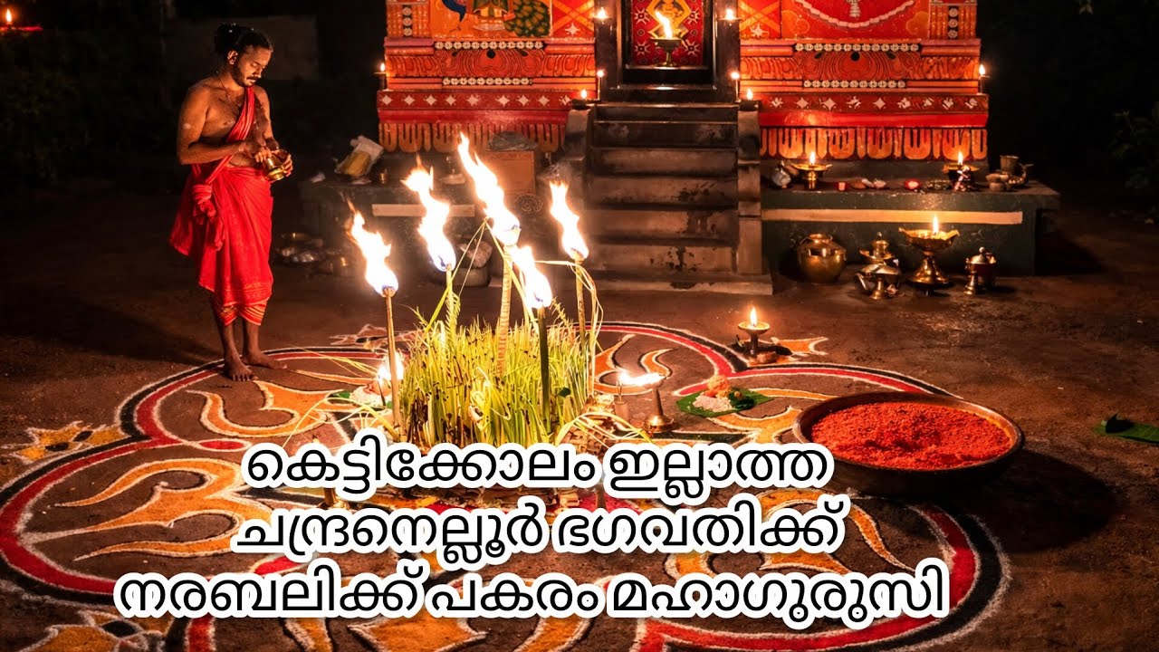 💢 ചന്ദ്രനെല്ലൂർ ഭഗവതിക്ക് മഹാഗുരുസി | Vellur Sree Kozhunthumpadi Kshethram | 