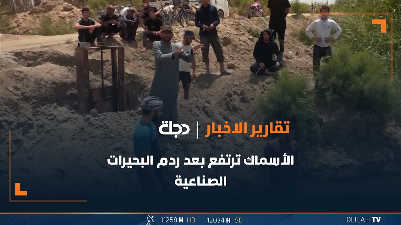 1 كغم بـ8 آلاف دينار.. الأسماك ترتفع بعد ردم البحيرات الصناعية في بابل