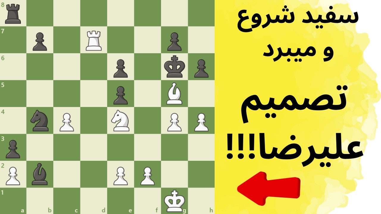 !!!سفید شروع و میبرد،،، تصمیم علیرضا l White Wins, Alireza Decision