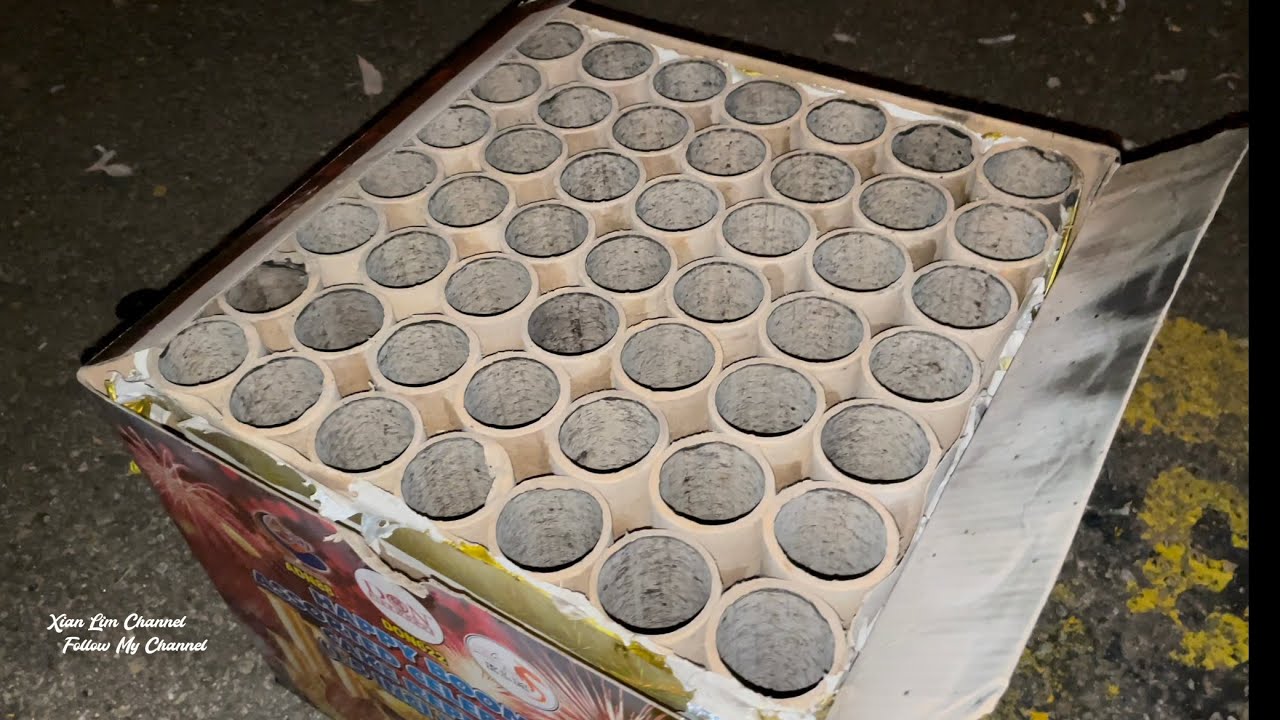 【Fireworks】2 inch 49 shot Cake Firework （ADN88/DON622）| 2寸洞49发盆花(喜旺财荣) 3D特效烟花