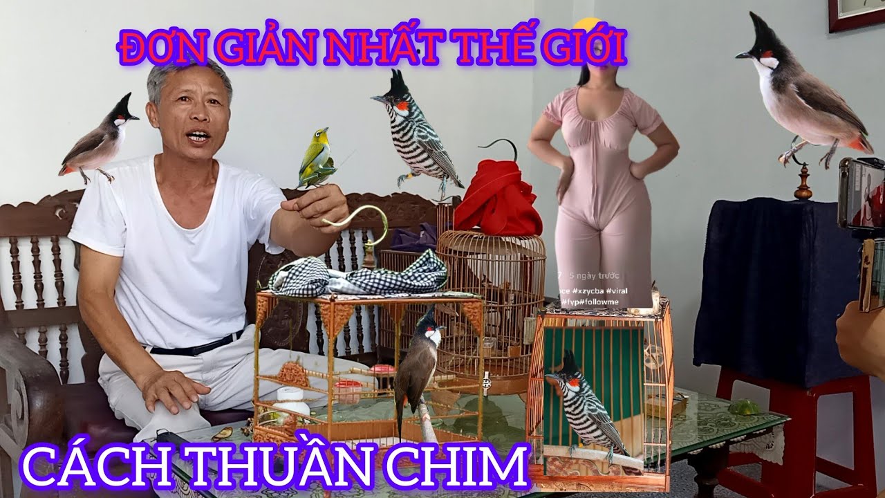 ĐẾN NH&Agrave; GI&Aacute;O SƯ CHIM CẢNH HỎI C&Aacute;CH THUẦN CH&Agrave;O M&Agrave;O NHANH NHẤT THẾ GIỚI 