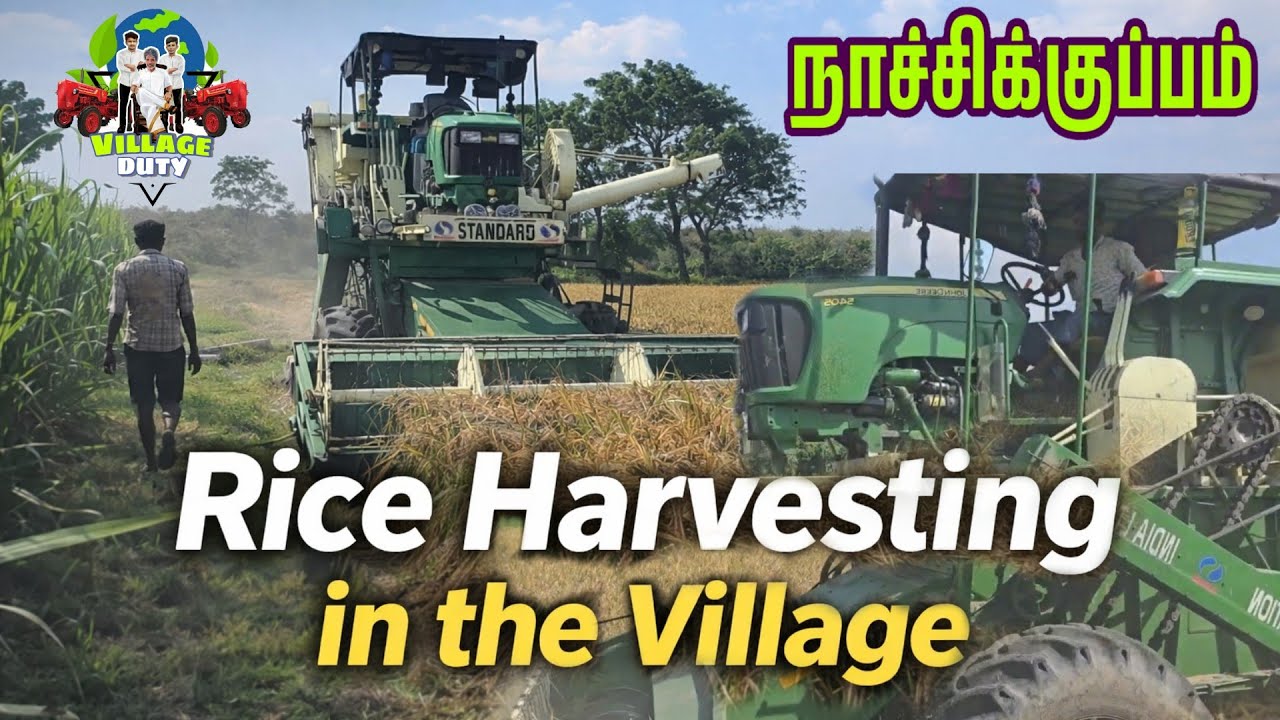 🌾Rice Harvesting🚜எங்க வீட்டு நெல் அறுவடை start ஆகிடுச்சு @nachikkuppam @Villagedutynachikkuppam  